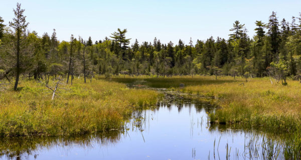 ★ Exposition Photographique Prolongée Jusqu’au Samedi 19 Octobre ★ From Sea To Shining Sea : Un Voyage à Travers Différents Environnements Des États-Unis Par Hervé Nicolas