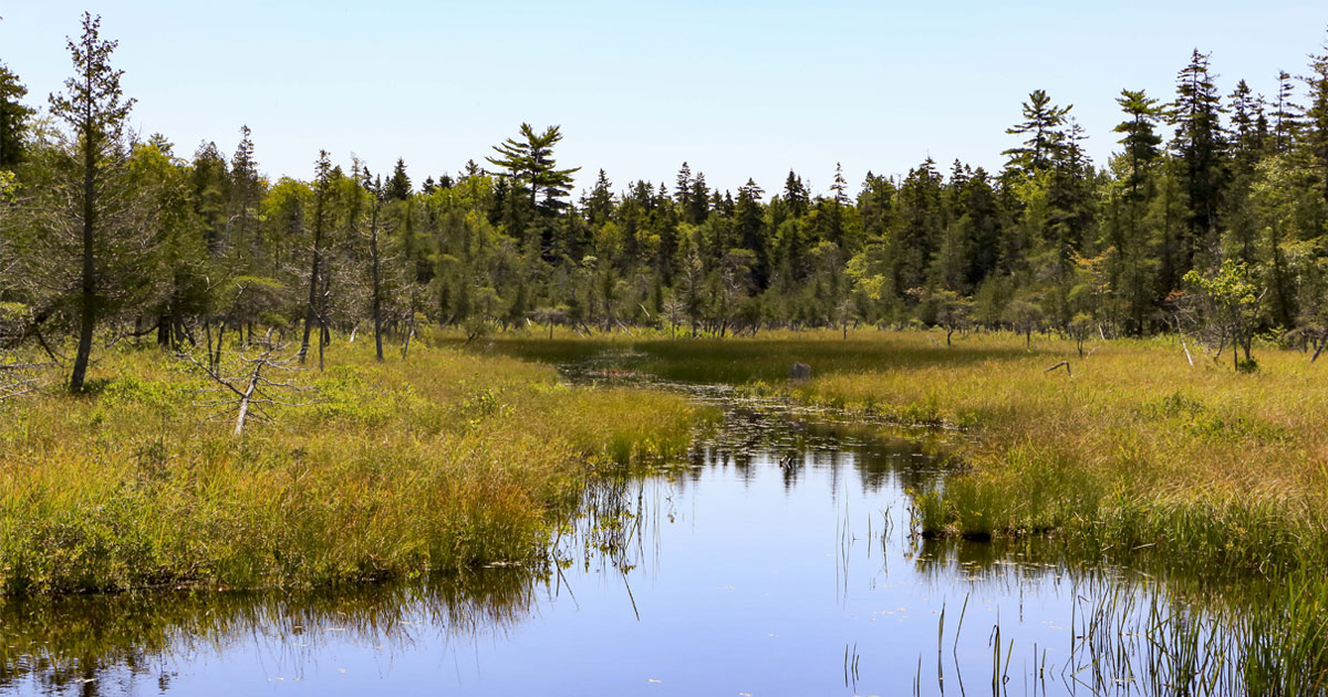 Exposition "Un Voyage à Travers Différents Environnements Des États-Unis"