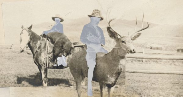 ★ Exposition ★ Days Of Plenty Par David Ellingsen